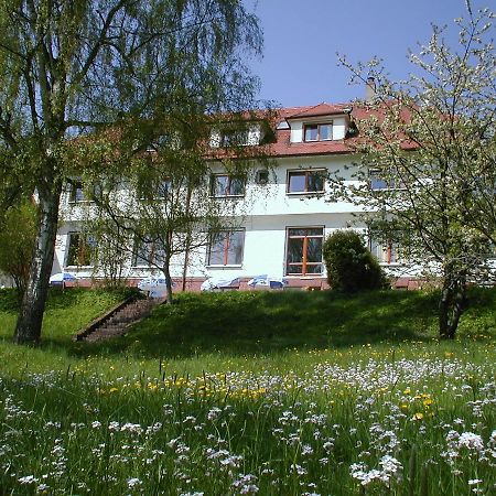 Hotel Gruenwald Ансбах Экстерьер фото