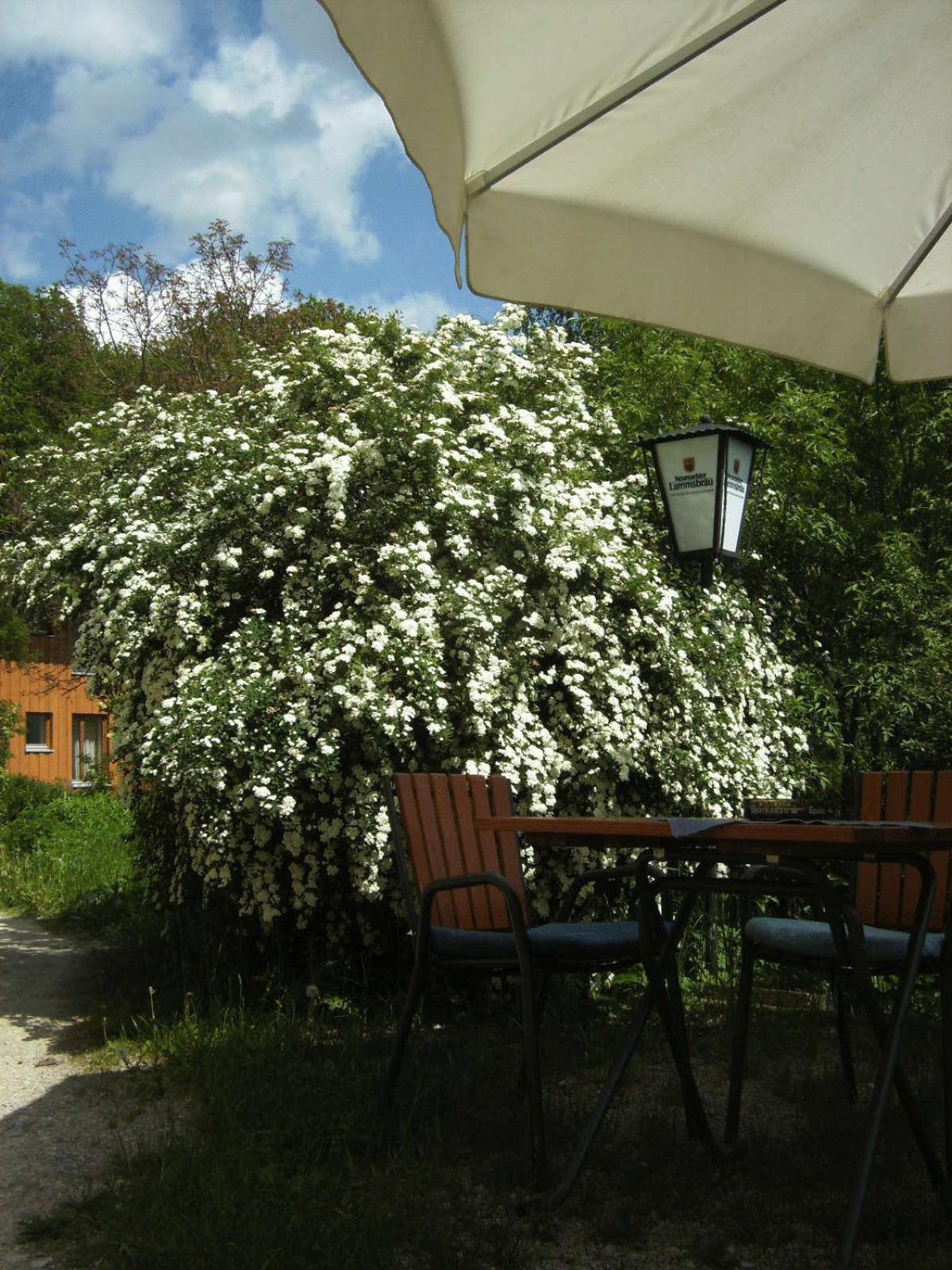 Hotel Gruenwald Ансбах Экстерьер фото
